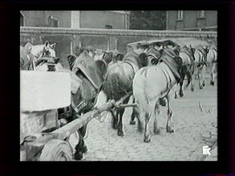 Lumière »Attelage d'un camion« 